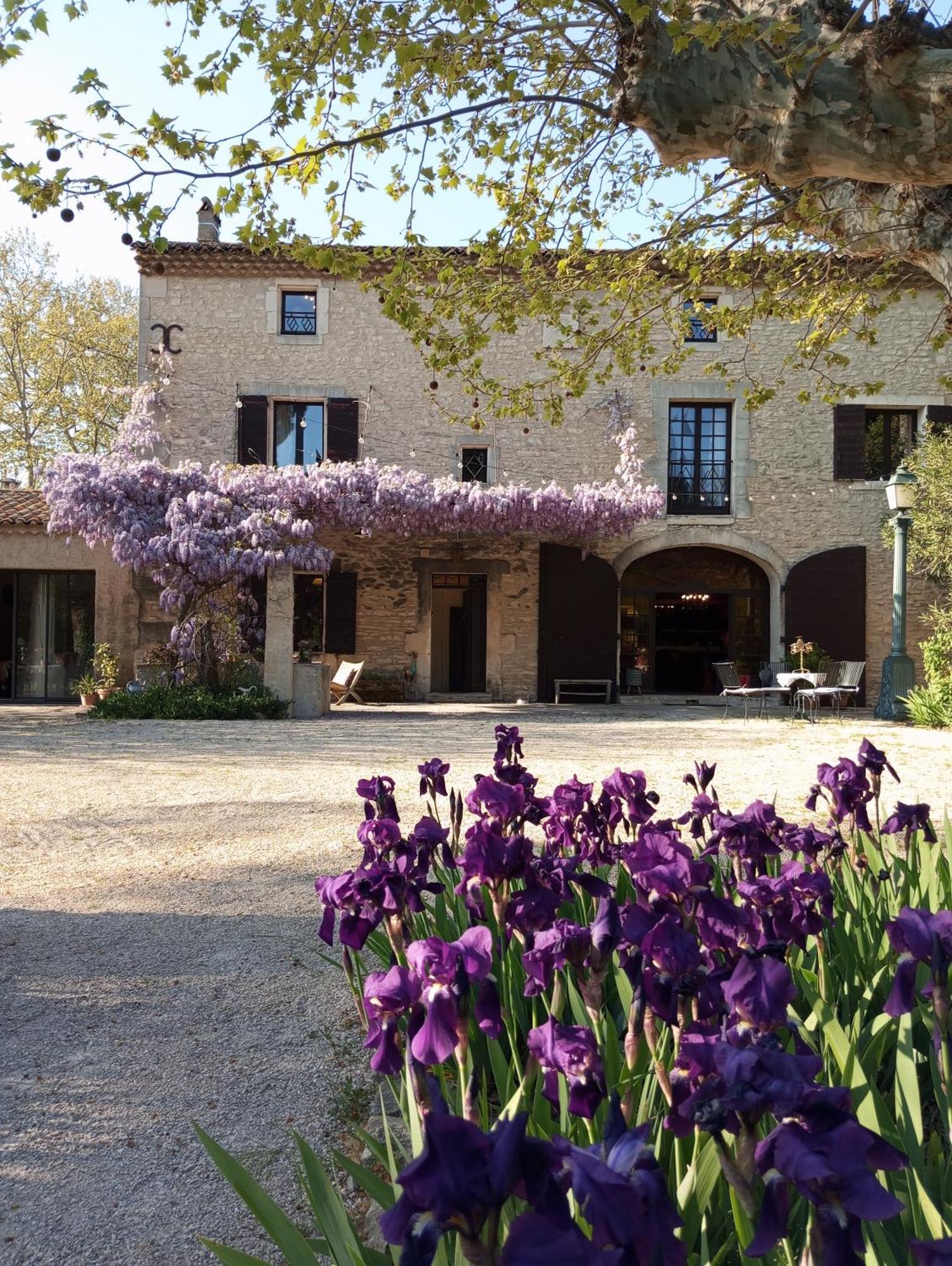 Remy A Dit Saint-Rémy-de-Provence Buitenkant foto